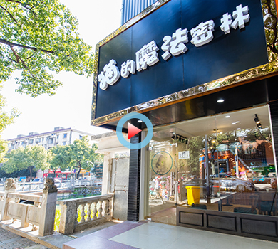 杭州余杭区猫的魔法密林全景展示